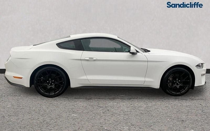 Used Ford Mustang Fastback 310 HP (228 kW) 2019 White Coupe