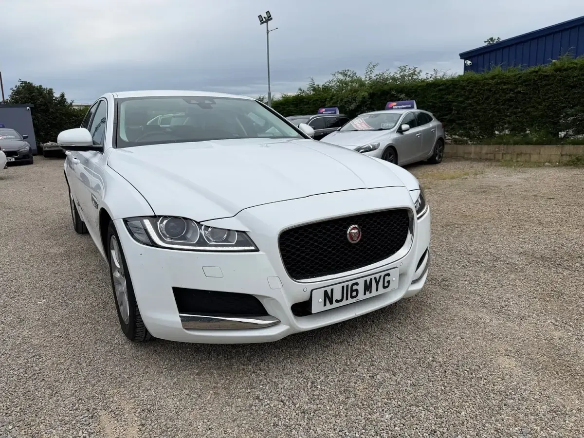 Used Jaguar XF Prestige 2016 White Sedan