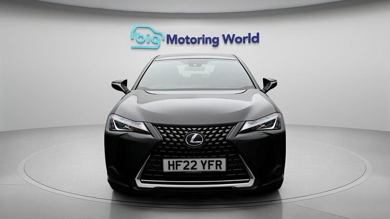 Usado Lexus UX 181 CV (133 kW) 2022 SUV