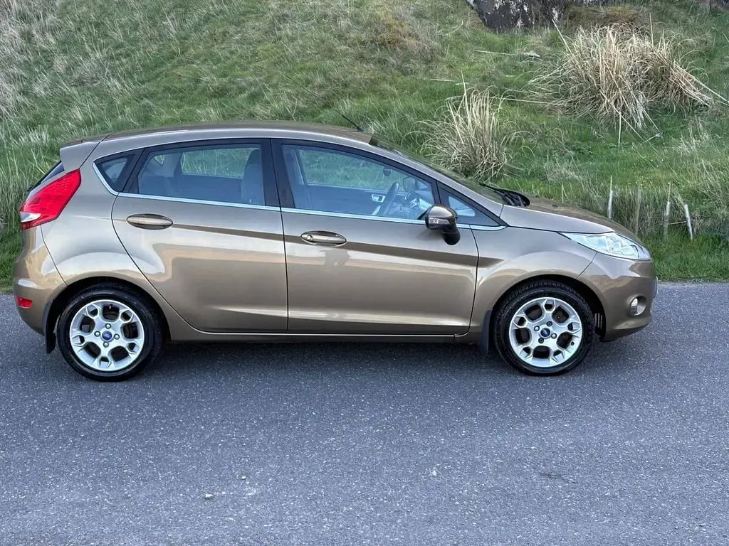 Used Ford Fiesta Zetec 81 HP (59 kW) 2012 Brown Hatchback
