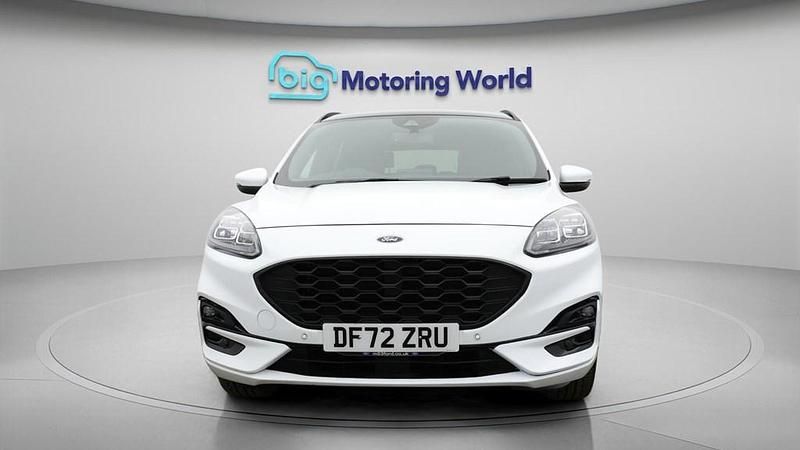 Used Ford Kuga ST-Line X 190 HP (139 kW) 2023 White SUV