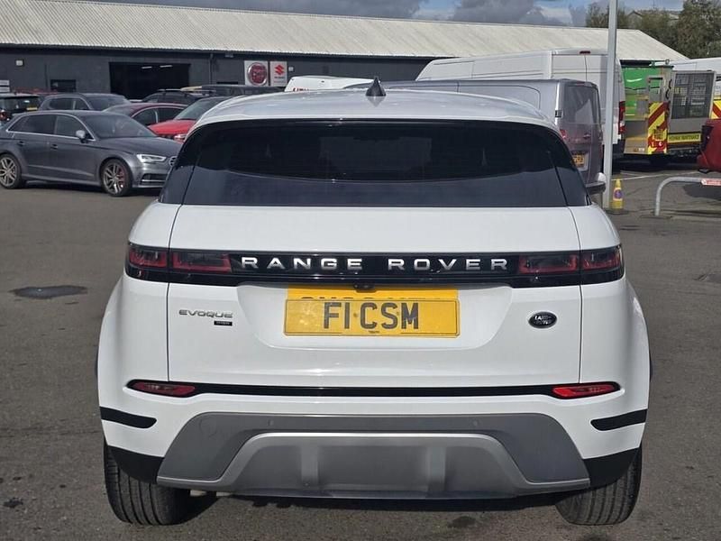 Used Land Rover Range Rover evoque S 150 HP (110 kW) 2020 White SUV