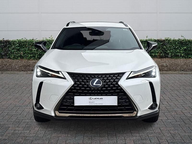 Used Lexus UX 250h 2021 White SUV