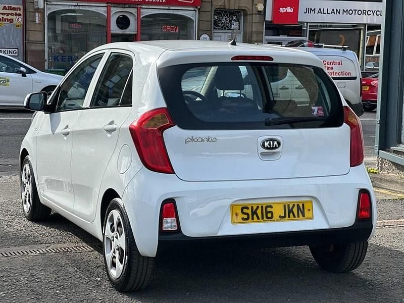 Used Kia Picanto 66 HP (48 kW) 2016 White Hatchback
