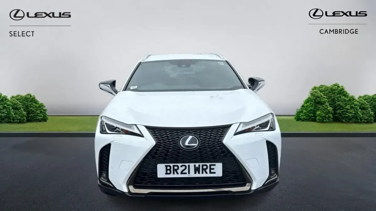Usado Lexus UX Sport Line 184 HP (135 kW) 2021 Branco SUV