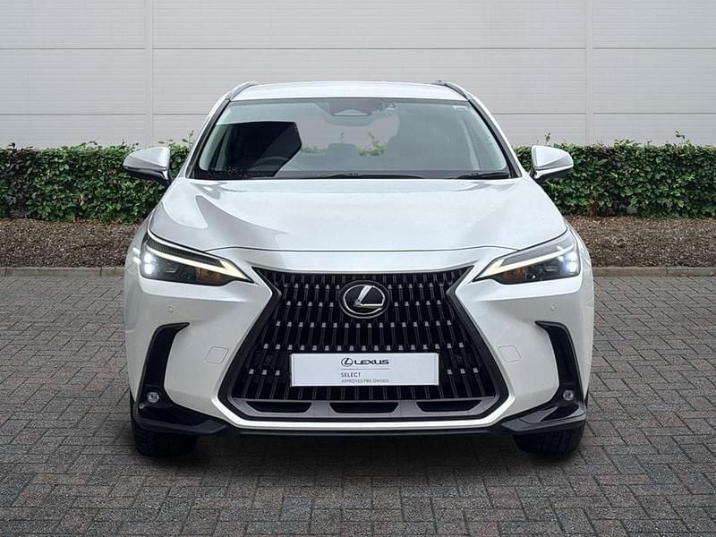 Used Lexus NX350h 2024 White Estate