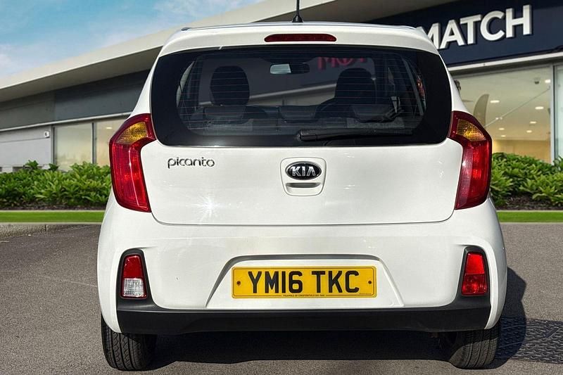 Used Kia Picanto 66 HP (48 kW) 2016 White Hatchback