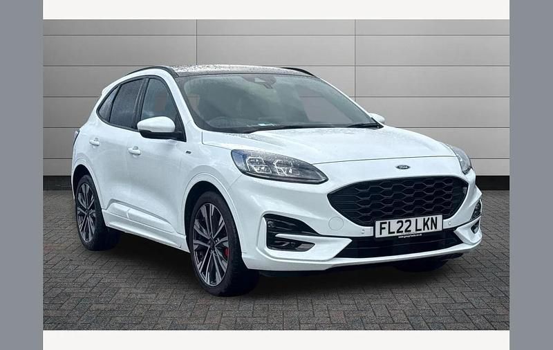 Used Ford Kuga ST-Line X 150 HP (110 kW) 2022 White SUV