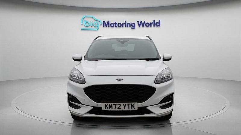 Used Ford Kuga ST-Line 225 HP (165 kW) 2023 White SUV