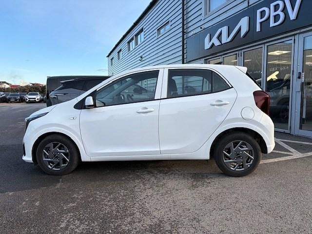 Used Kia Picanto 2024 White Hatchback