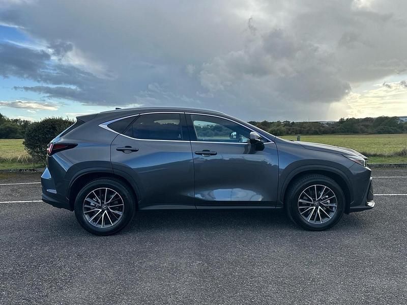 Used Lexus NX350h 2025 Grey Estate