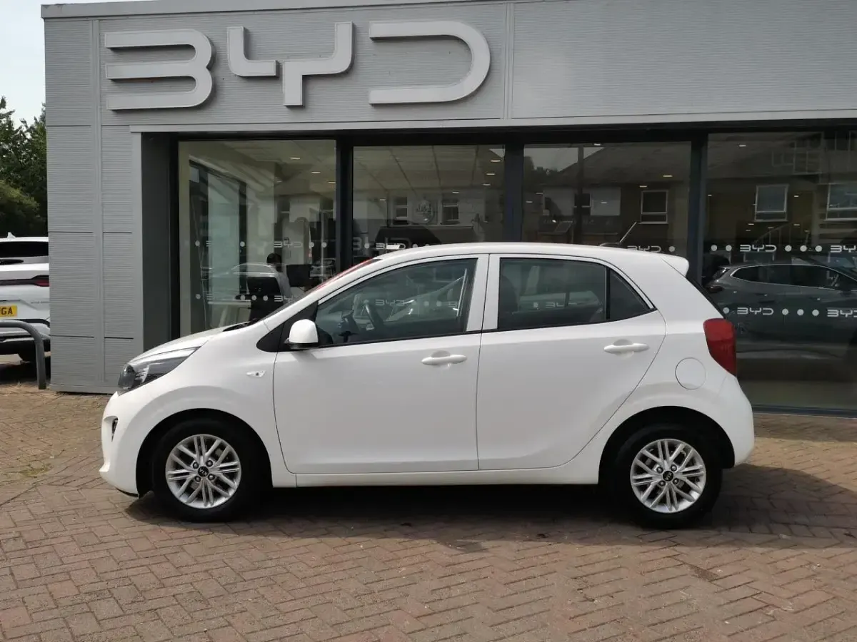 Used Kia Picanto 66 HP (48 kW) 2020 White Hatchback