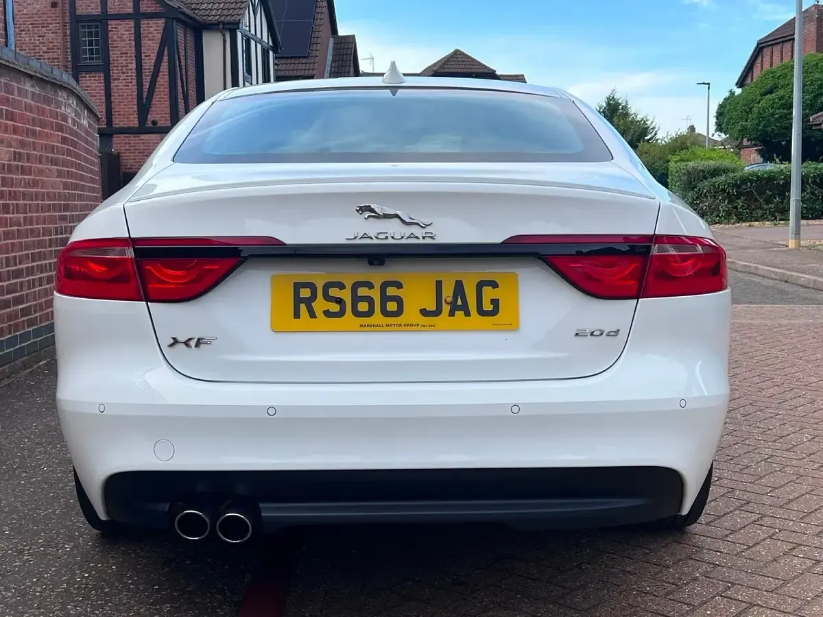 Used Jaguar XF R-Sport 180 HP (132 kW) 2016 White Sedan