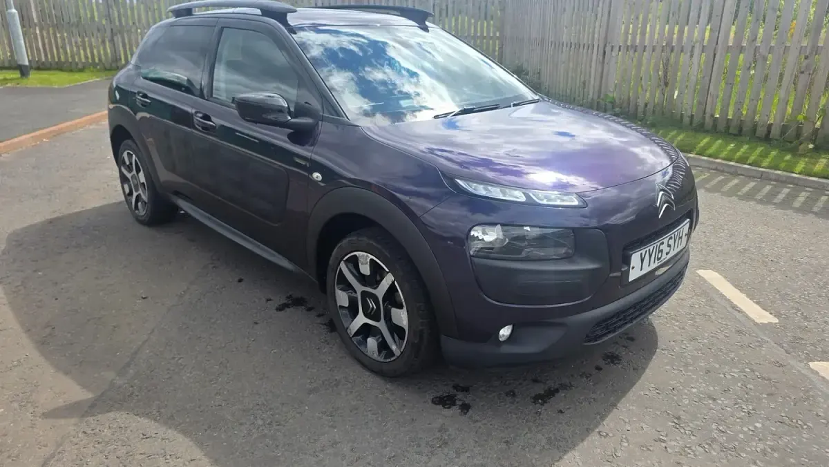 Used Citroën C4 Cactus Flair 2016 Purple Hatchback