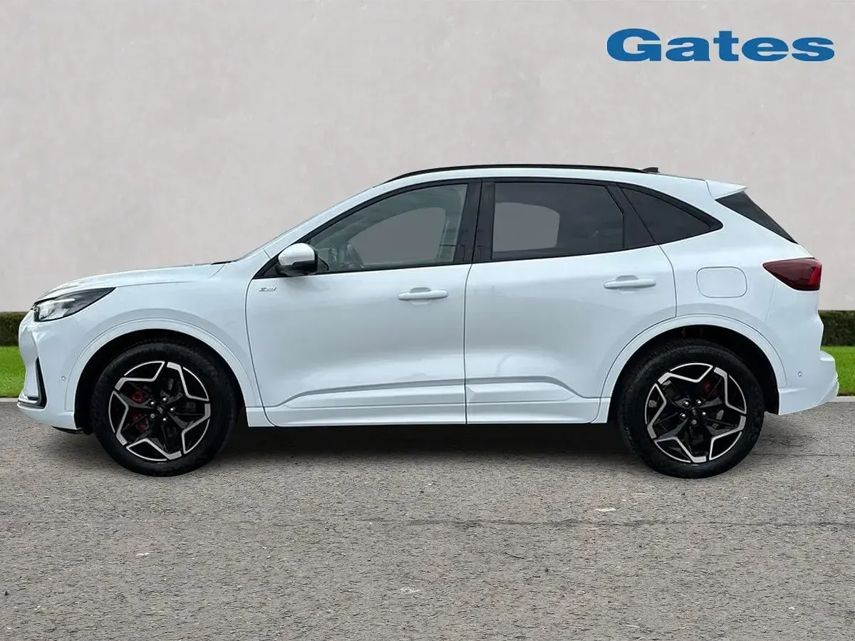 Used Ford Kuga ST-Line X 150 HP (110 kW) 2025 White SUV