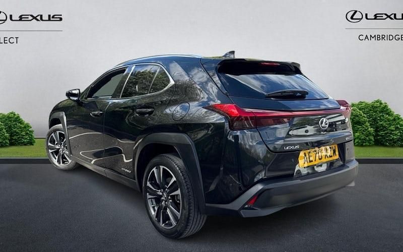 Used Lexus UX 250h 184 HP (135 kW) 2024 SUV
