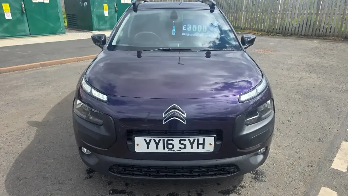 Used Citroën C4 Cactus Flair 2016 Purple Hatchback