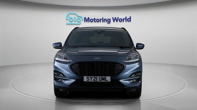 Used Ford Kuga ST-Line 225 HP (165 kW) 2021 Blue SUV