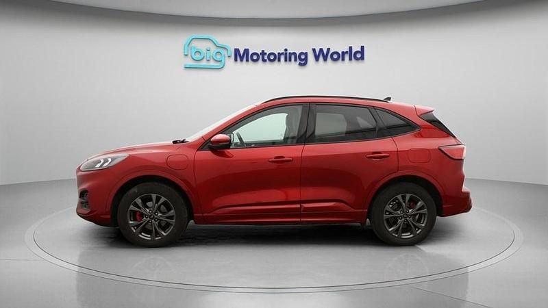 Used Ford Kuga ST-Line 225 HP (165 kW) 2021 Red SUV