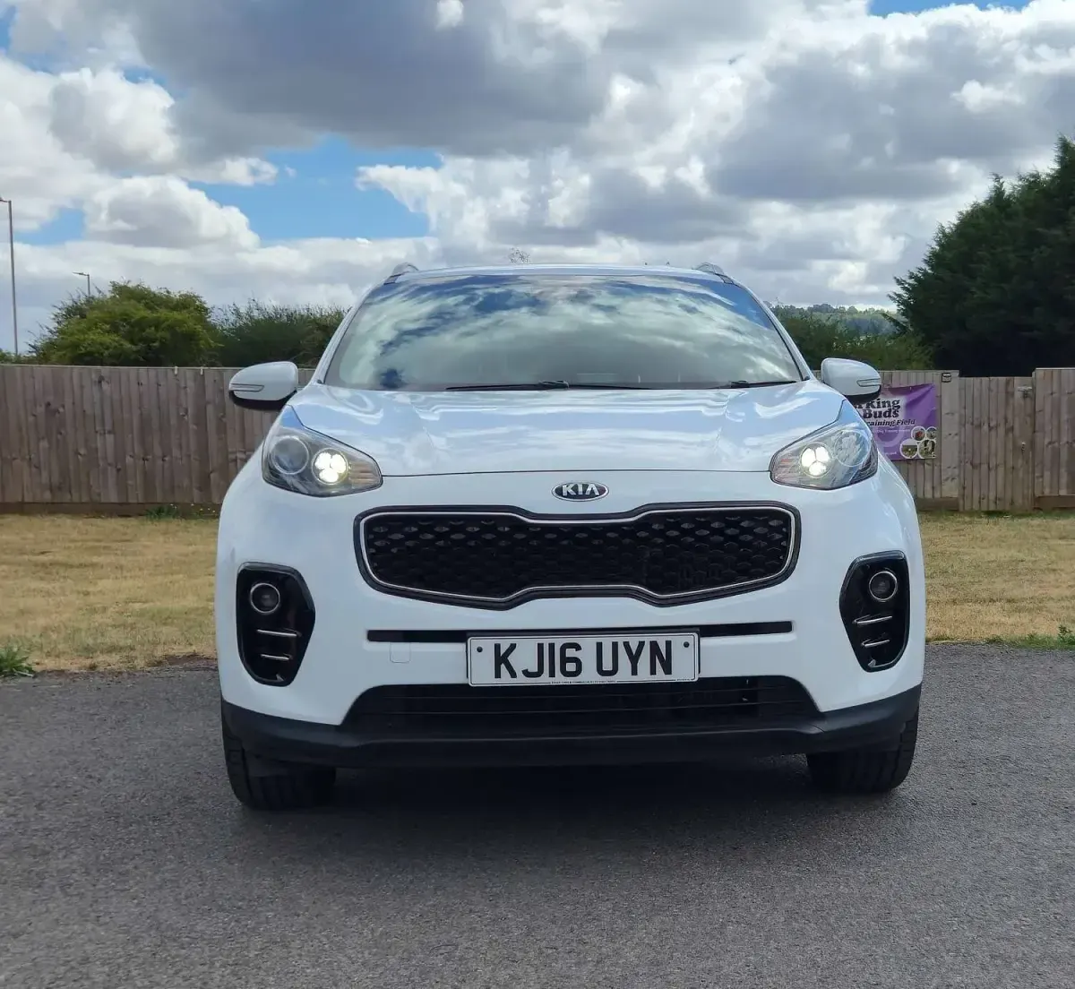 Used Kia Sportage 2016 White SUV