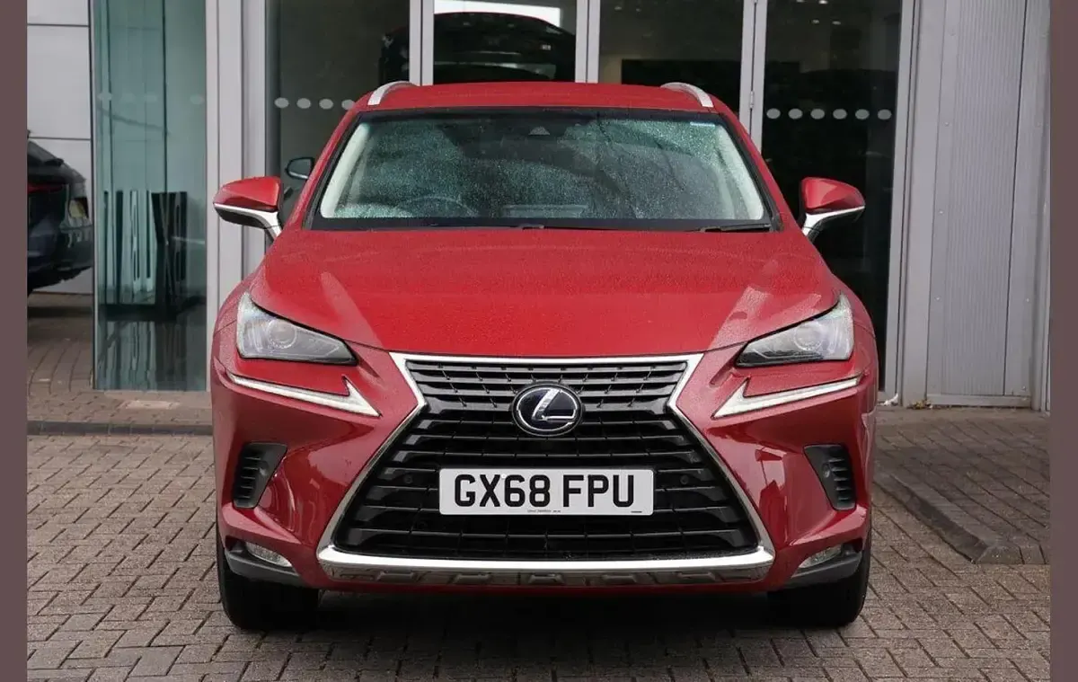 Used Lexus NX300h Luxury Line 194 HP (142 kW) 2019 Red SUV