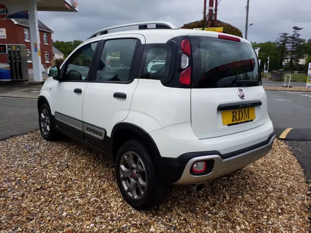 Used Fiat Panda Cross Cross 90 HP (66 kW) 2016 White Hatchback