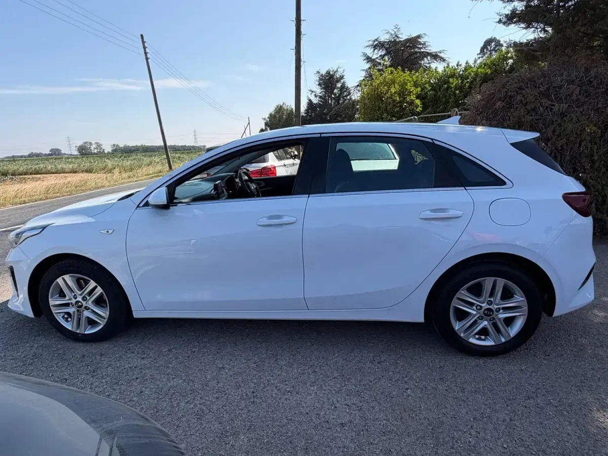 Used Kia Ceed 136 HP (100 kW) 2019 White Hatchback