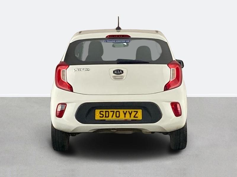 Used Kia Picanto 66 HP (48 kW) 2020 White Hatchback