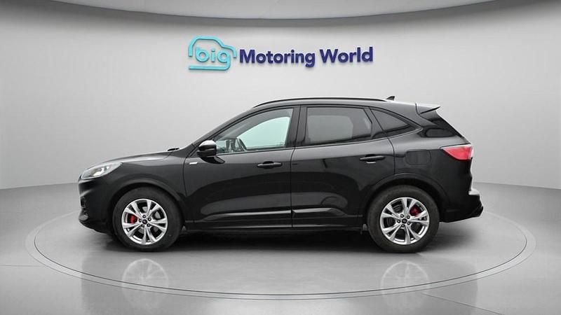 Used Ford Kuga ST-Line 150 HP (110 kW) 2023 Black SUV