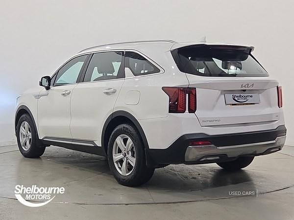 Used Kia Sorento 194 HP (142 kW) 2025 White SUV