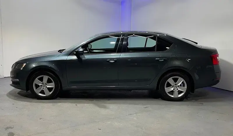Used Skoda Octavia SE 115 HP (84 kW) 2019 Grey Hatchback