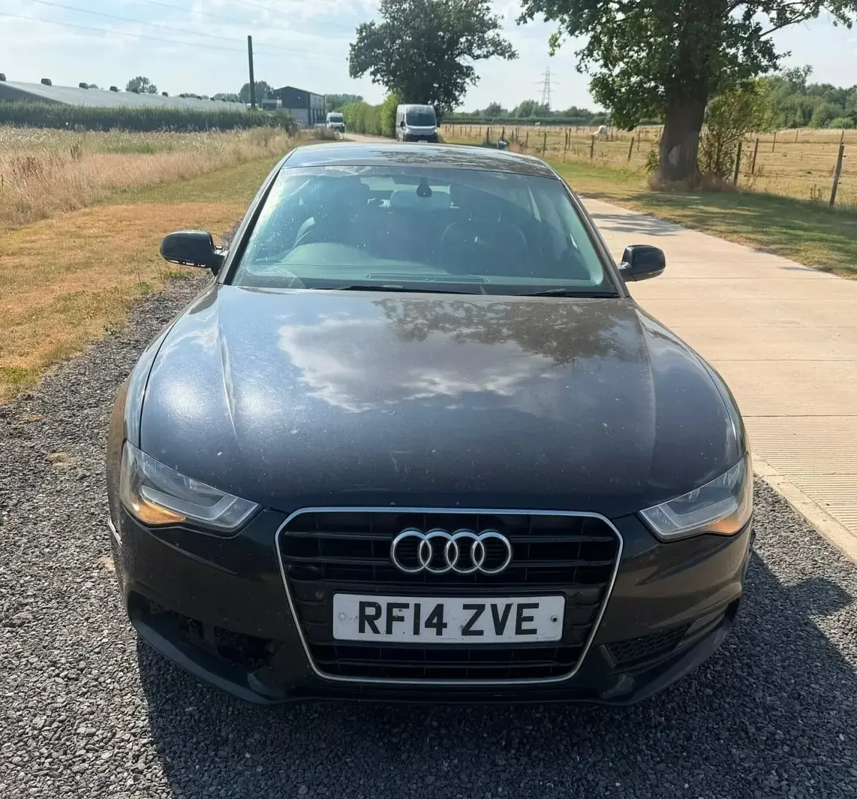 Used Audi A5 2014 Black Coupe