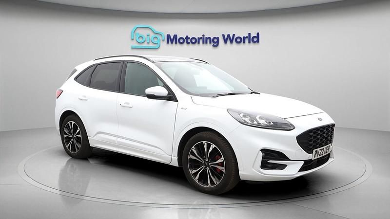 Used Ford Kuga ST-Line X 120 HP (88 kW) 2021 White SUV