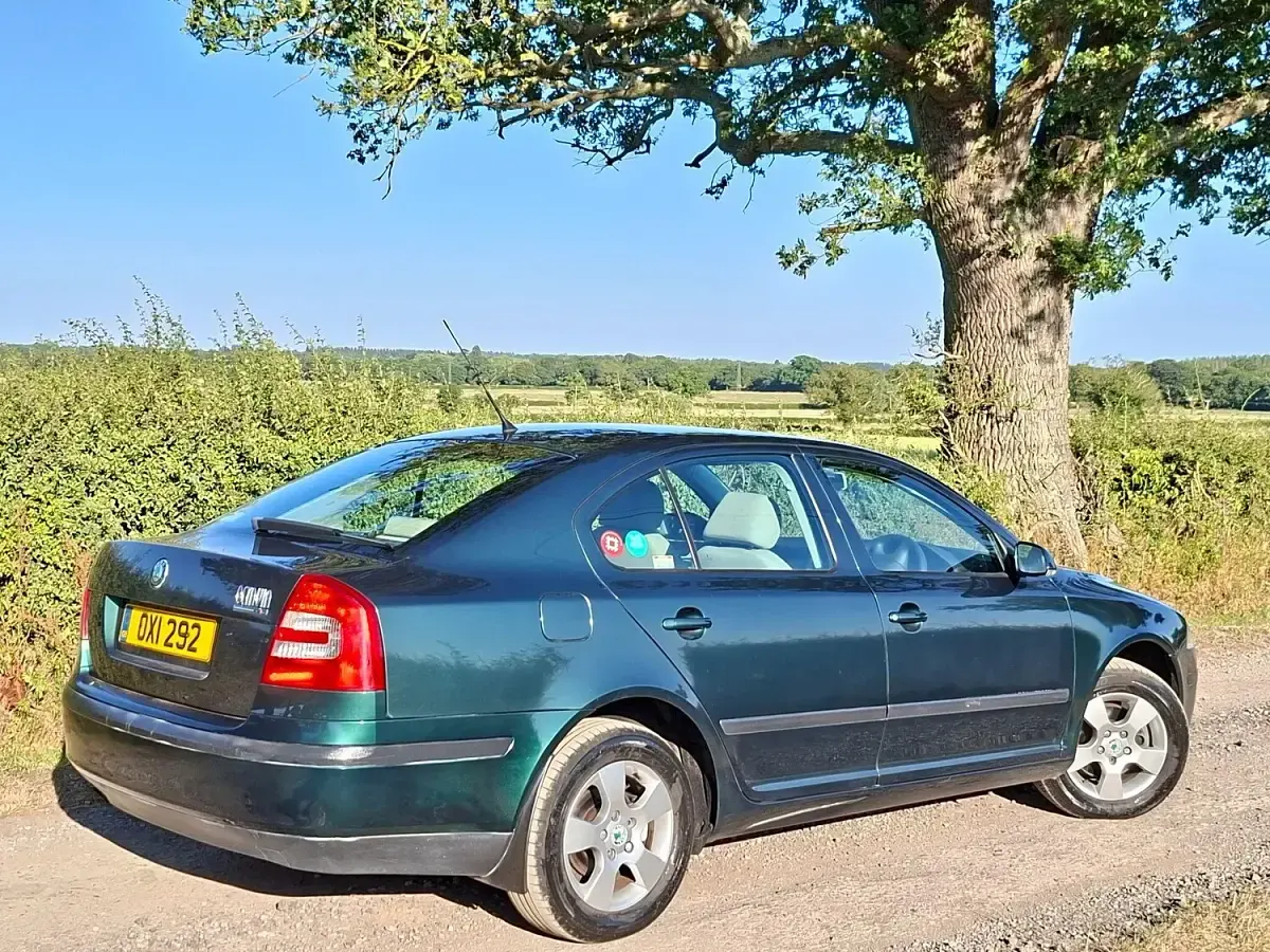 Used Skoda Octavia Ambiente 2009 Green
