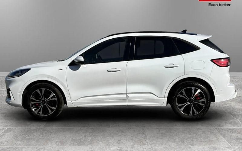 Second-hand Ford Kuga ST-Line X 190 CP (139 kW) 2023 SUV
