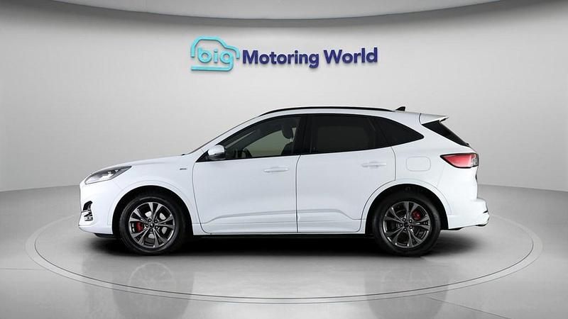 Used Ford Kuga ST-Line 120 HP (88 kW) 2021 White SUV