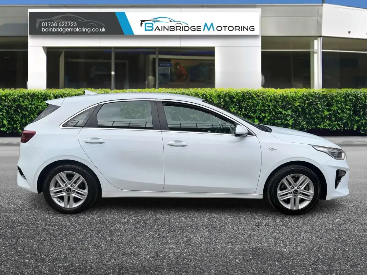 Used Kia Ceed 136 HP (100 kW) 2019 White Hatchback