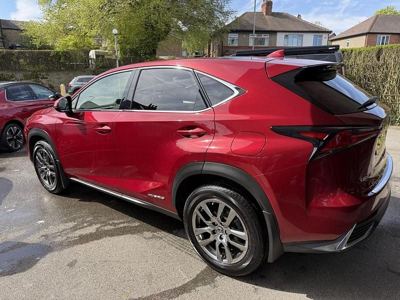 Used Lexus NX300h 2019 Red SUV