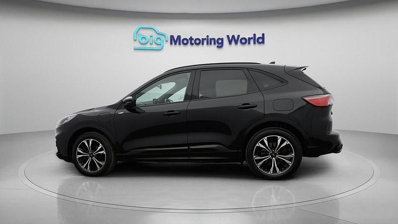 Used Ford Kuga ST-Line X 225 HP (165 kW) 2022 Black SUV