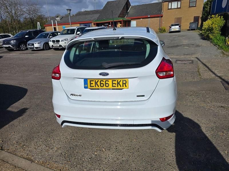 Used Ford Focus Zetec 125 HP (91 kW) 2016 White Hatchback