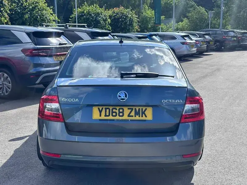 Used Skoda Octavia SE L 150 HP (110 kW) 2019 Grey Hatchback