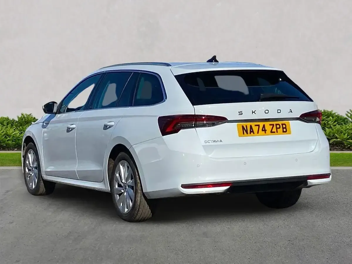 Used Skoda Octavia First Edition 150 HP (110 kW) 2024 White Estate