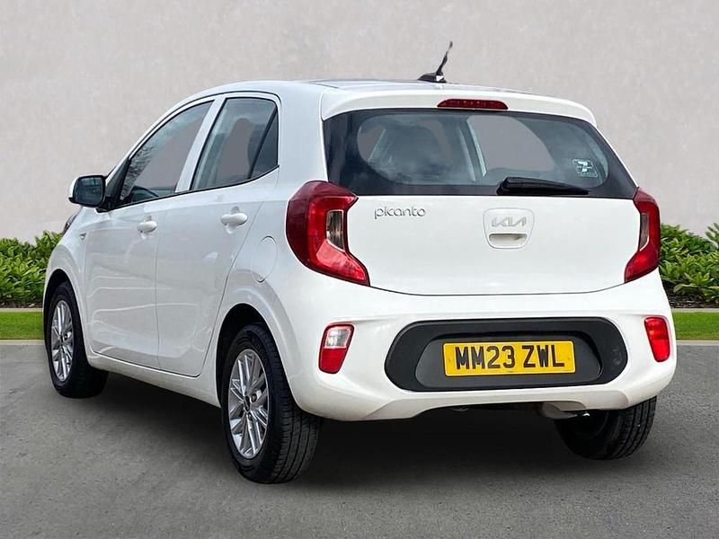Used Kia Picanto 66 HP (48 kW) 2023 White Hatchback