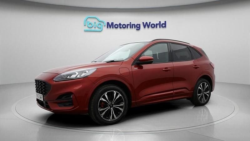 Used Ford Kuga ST-Line X 225 HP (165 kW) 2022 Red SUV