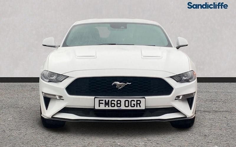Used Ford Mustang Fastback 310 HP (228 kW) 2019 White Coupe