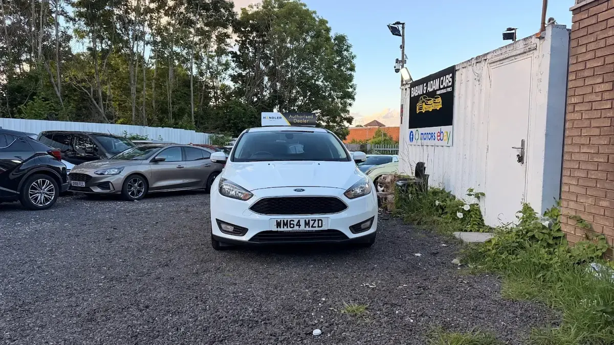 Used Ford Focus Zetec 125 HP (91 kW) 2014 White Hatchback