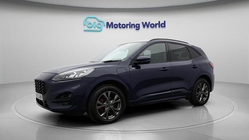 Used Ford Kuga ST-Line 225 HP (165 kW) 2023 Blue SUV