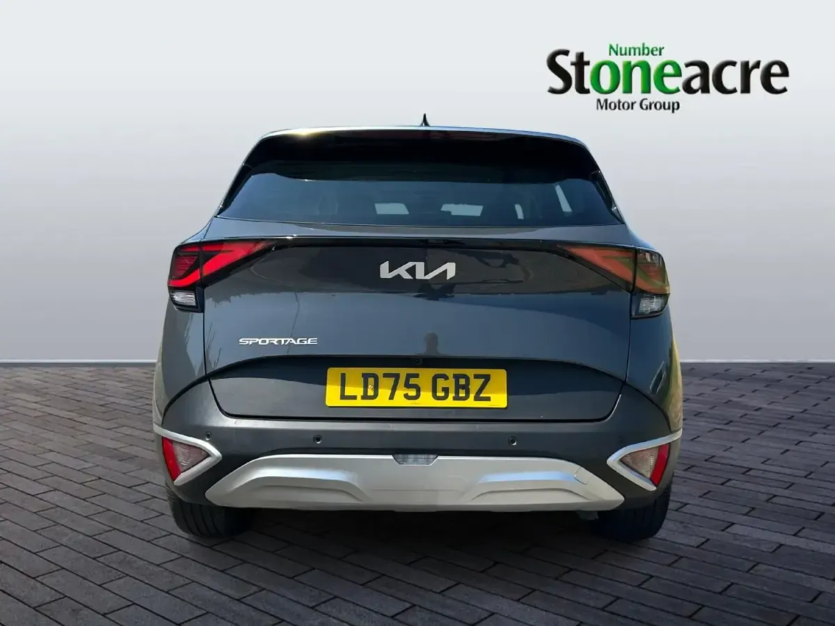 Used Kia Sportage 159 HP (116 kW) 2024 Grey SUV