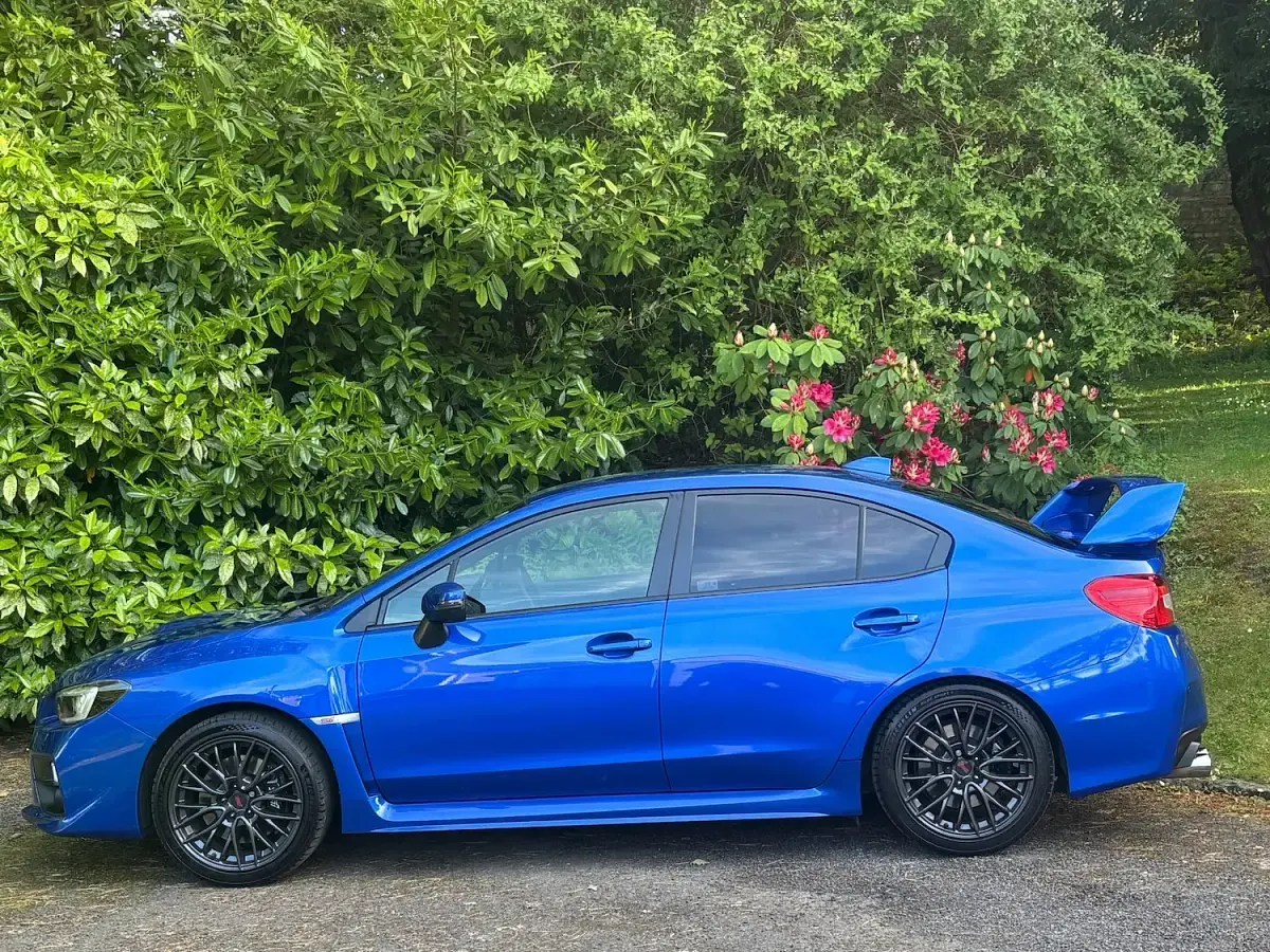 Used Subaru WRX STI 295 HP (216 kW) 2016 Blue Sedan