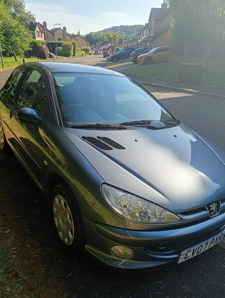 Used Peugeot 206 75 HP (55 kW) 2007 Grey Hatchback